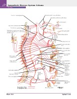 Frank H. Netter, MD - Atlas of Human Anatomy (6th ed ) 2014, page 189